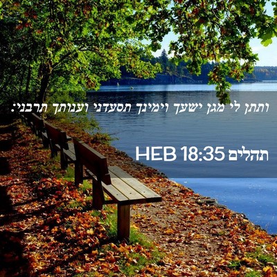 Picture 02 - תהלים 18:35 HEB - ותתן לי מגן ישעך וימינך - Bible Verse Picture