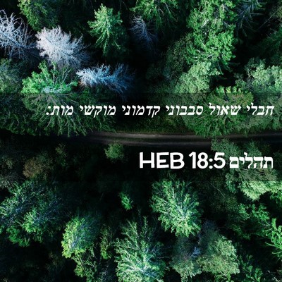 Picture 02 - תהלים 18:5 HEB - חבלי שאול סבבוני קדמוני - Bible Verse Picture