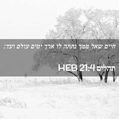 Picture 02 - תהלים 21:4 HEB - חיים שאל ממך נתתה לו ארך - Bible Verse Picture