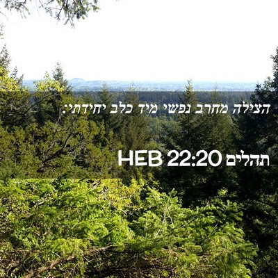 Picture 02 - תהלים 22:20 HEB - הצילה מחרב נפשי מיד כלב - Bible Verse Picture