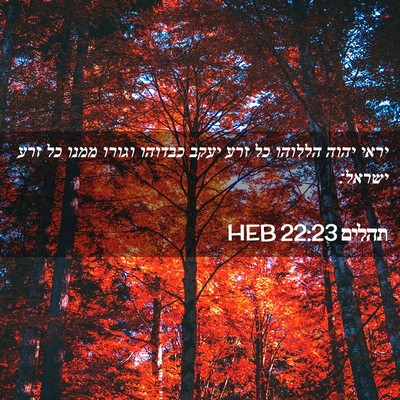 Picture 02 - תהלים 22:23 HEB - יראי יהוה הללוהו כל זרע - Bible Verse Picture