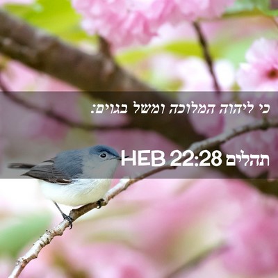 Picture 02 - תהלים 22:28 HEB - כי ליהוה המלוכה ומשל - Bible Verse Picture