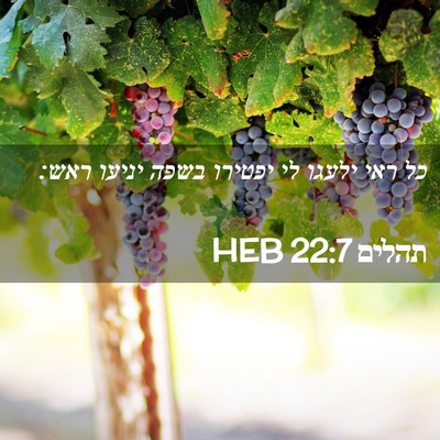 Picture 02 - תהלים 22:7 HEB - כל ראי ילעגו לי יפטירו בשפה - Bible Verse Picture