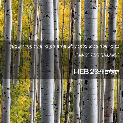 Picture 02 - תהלים 23:4 HEB - גם כי אלך בגיא צלמות לא - Bible Verse Picture