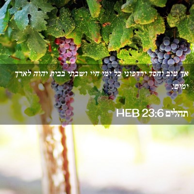 Picture 02 - תהלים 23:6 HEB - אך טוב וחסד ירדפוני כל ימי - Bible Verse Picture