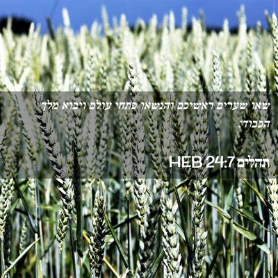 Picture 02 - תהלים 24:7 HEB - שאו שערים ראשיכם והנשאו - Bible Verse Picture