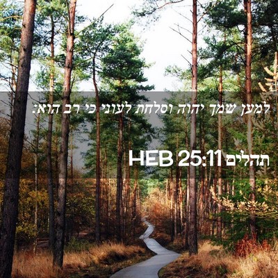 Picture 02 - תהלים 25:11 HEB - למען שמך יהוה וסלחת לעוני - Bible Verse Picture
