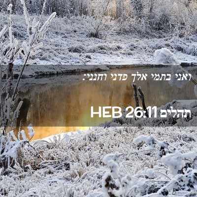 Picture 02 - תהלים 26:11 HEB - ואני בתמי אלך פדני - Bible Verse Picture
