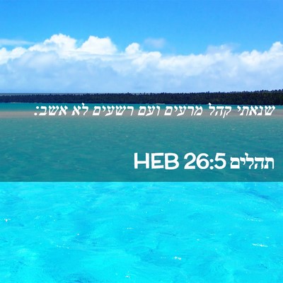 Picture 02 - תהלים 26:5 HEB - שנאתי קהל מרעים ועם רשעים - Bible Verse Picture