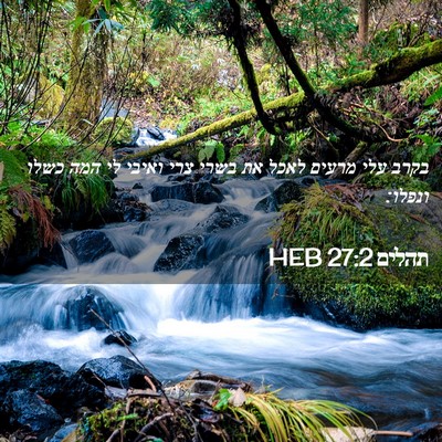 Picture 02 - תהלים 27:2 HEB - בקרב עלי מרעים לאכל את בשרי - Bible Verse Picture
