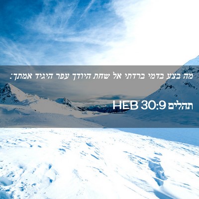 Picture 02 - תהלים 30:9 HEB - מה בצע בדמי ברדתי אל שחת - Bible Verse Picture