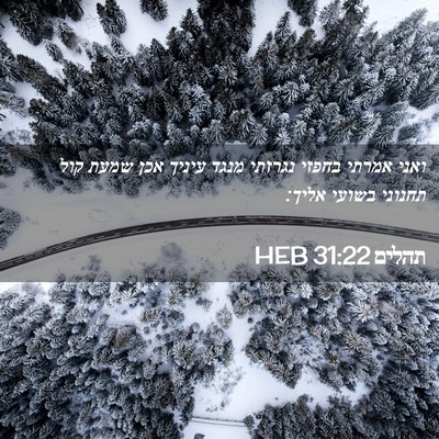 Picture 02 - תהלים 31:22 HEB - ואני אמרתי בחפזי נגרזתי - Bible Verse Picture