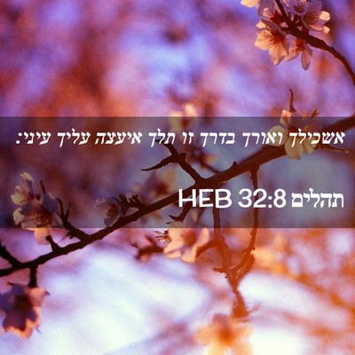 Picture 02 - תהלים 32:8 HEB - אשכילך ואורך בדרך זו תלך - Bible Verse Picture