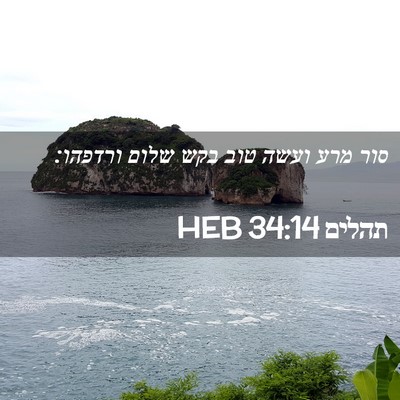 Picture 02 - תהלים 34:14 HEB - סור מרע ועשה טוב בקש שלום - Bible Verse Picture