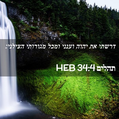 Picture 02 - תהלים 34:4 HEB - דרשתי את יהוה וענני ומכל - Bible Verse Picture