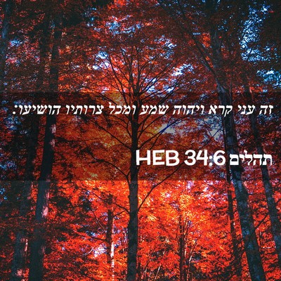 Picture 02 - תהלים 34:6 HEB - זה עני קרא ויהוה שמע ומכל - Bible Verse Picture