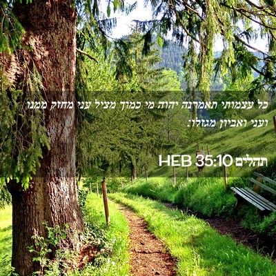 Picture 02 - תהלים 35:10 HEB - כל עצמותי תאמרנה יהוה מי - Bible Verse Picture