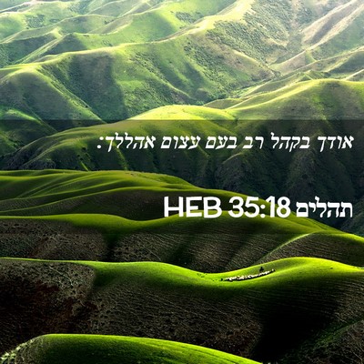 Picture 02 - תהלים 35:18 HEB - אודך בקהל רב בעם עצום - Bible Verse Picture