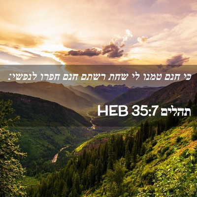 Picture 02 - תהלים 35:7 HEB - כי חנם טמנו לי שחת רשתם חנם - Bible Verse Picture