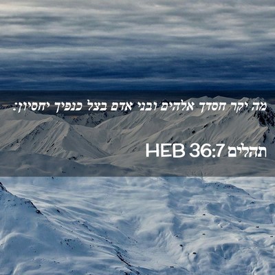 Picture 02 - תהלים 36:7 HEB - מה יקר חסדך אלהים ובני אדם - Bible Verse Picture