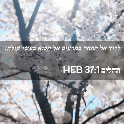Picture 02 - תהלים 37:1 HEB - לדוד אל תתחר במרעים אל תקנא - Bible Verse Picture