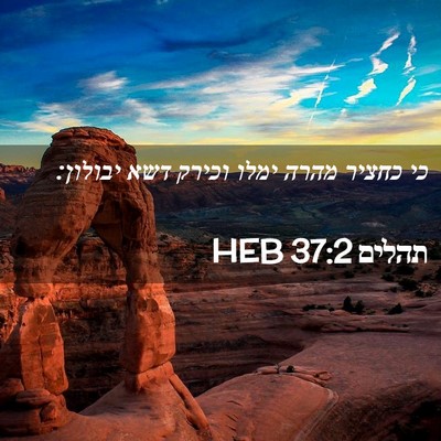 Picture 02 - תהלים 37:2 HEB - כי כחציר מהרה ימלו וכירק - Bible Verse Picture