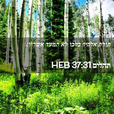 Picture 02 - תהלים 37:31 HEB - תורת אלהיו בלבו לא תמעד - Bible Verse Picture