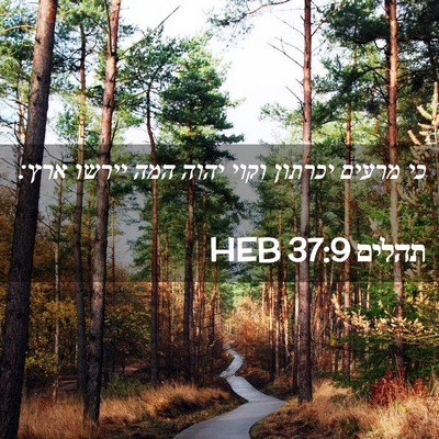 Picture 02 - תהלים 37:9 HEB - כי מרעים יכרתון וקוי יהוה - Bible Verse Picture