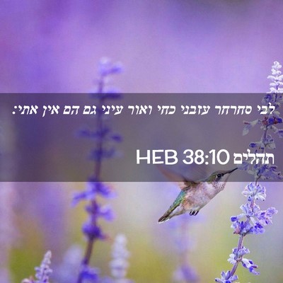 Picture 02 - תהלים 38:10 HEB - לבי סחרחר עזבני כחי ואור - Bible Verse Picture