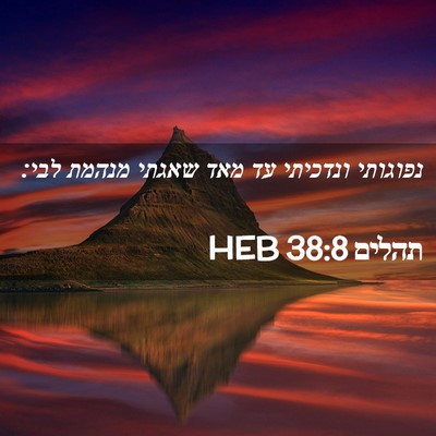 Picture 02 - תהלים 38:8 HEB - נפוגותי ונדכיתי עד מאד - Bible Verse Picture