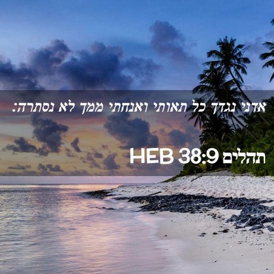 Picture 02 - תהלים 38:9 HEB - אדני נגדך כל תאותי ואנחתי - Bible Verse Picture