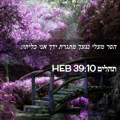 Picture 02 - תהלים 39:10 HEB - הסר מעלי נגעך מתגרת ידך אני - Bible Verse Picture