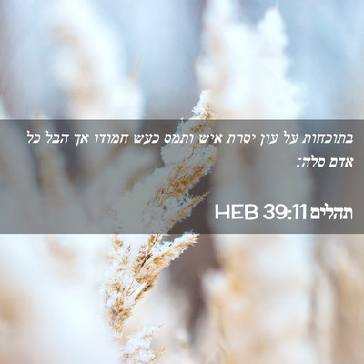 Picture 02 - תהלים 39:11 HEB - בתוכחות על עון יסרת איש - Bible Verse Picture