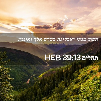 Picture 02 - תהלים 39:13 HEB - השע ממני ואבליגה בטרם אלך - Bible Verse Picture