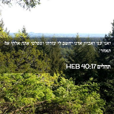 Picture 02 - תהלים 40:17 HEB - ואני עני ואביון אדני יחשב - Bible Verse Picture