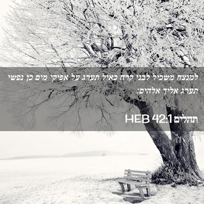 Picture 02 - תהלים 42:1 HEB - למנצח משכיל לבני קרח כאיל - Bible Verse Picture