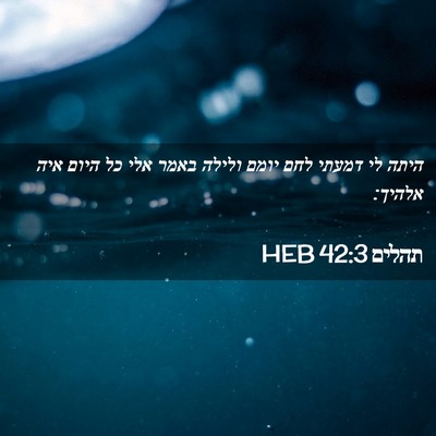Picture 02 - תהלים 42:3 HEB - היתה לי דמעתי לחם יומם - Bible Verse Picture