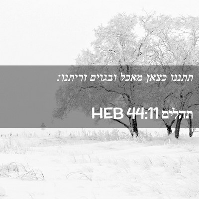 Picture 02 - תהלים 44:11 HEB - תתננו כצאן מאכל ובגוים - Bible Verse Picture