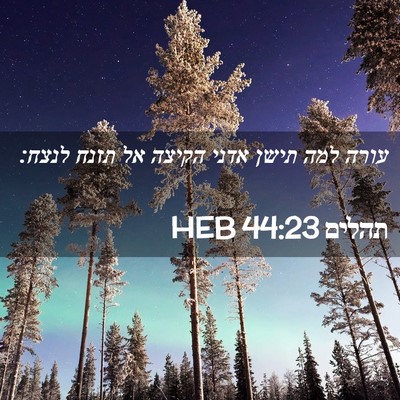 Picture 02 - תהלים 44:23 HEB - עורה למה תישן אדני הקיצה אל - Bible Verse Picture