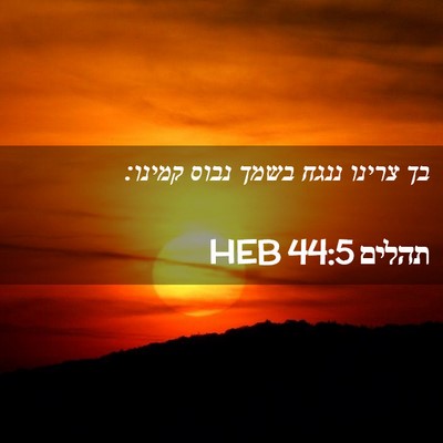 Picture 02 - תהלים 44:5 HEB - בך צרינו ננגח בשמך נבוס - Bible Verse Picture