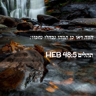 Picture 02 - תהלים 48:5 HEB - המה ראו כן תמהו נבהלו - Bible Verse Picture
