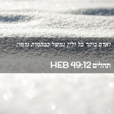 Picture 02 - תהלים 49:12 HEB - ואדם ביקר בל ילין נמשל - Bible Verse Picture