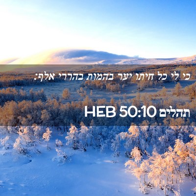 Picture 02 - תהלים 50:10 HEB - כי לי כל חיתו יער בהמות - Bible Verse Picture