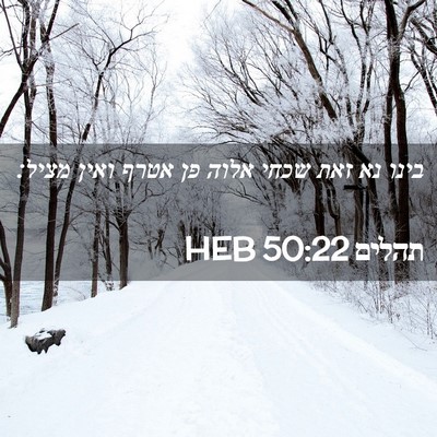 Picture 02 - תהלים 50:22 HEB - בינו נא זאת שכחי אלוה פן - Bible Verse Picture