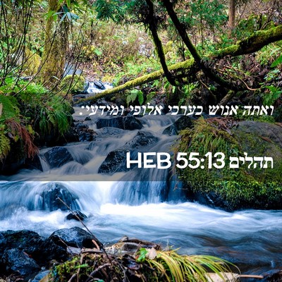 Picture 02 - תהלים 55:13 HEB - ואתה אנוש כערכי אלופי - Bible Verse Picture