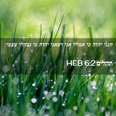Picture 02 - תהלים 6:2 HEB - חנני יהוה כי אמלל אני רפאני - Bible Verse Picture