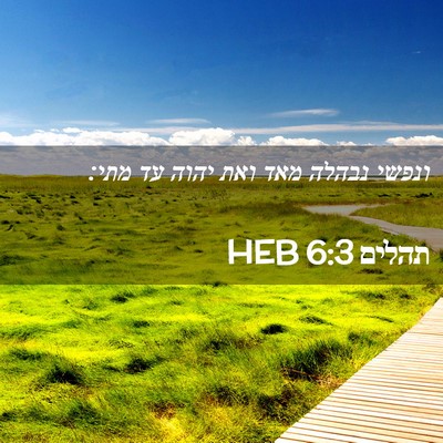 Picture 02 - תהלים 6:3 HEB - ונפשי נבהלה מאד ואת יהוה עד - Bible Verse Picture