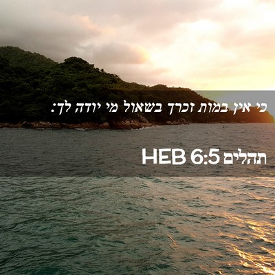 Picture 02 - תהלים 6:5 HEB - כי אין במות זכרך בשאול מי - Bible Verse Picture