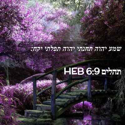 Picture 02 - תהלים 6:9 HEB - שמע יהוה תחנתי יהוה תפלתי - Bible Verse Picture