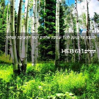 Picture 02 - תהלים 61:1 HEB - למנצח על נגינת לדוד שמעה - Bible Verse Picture